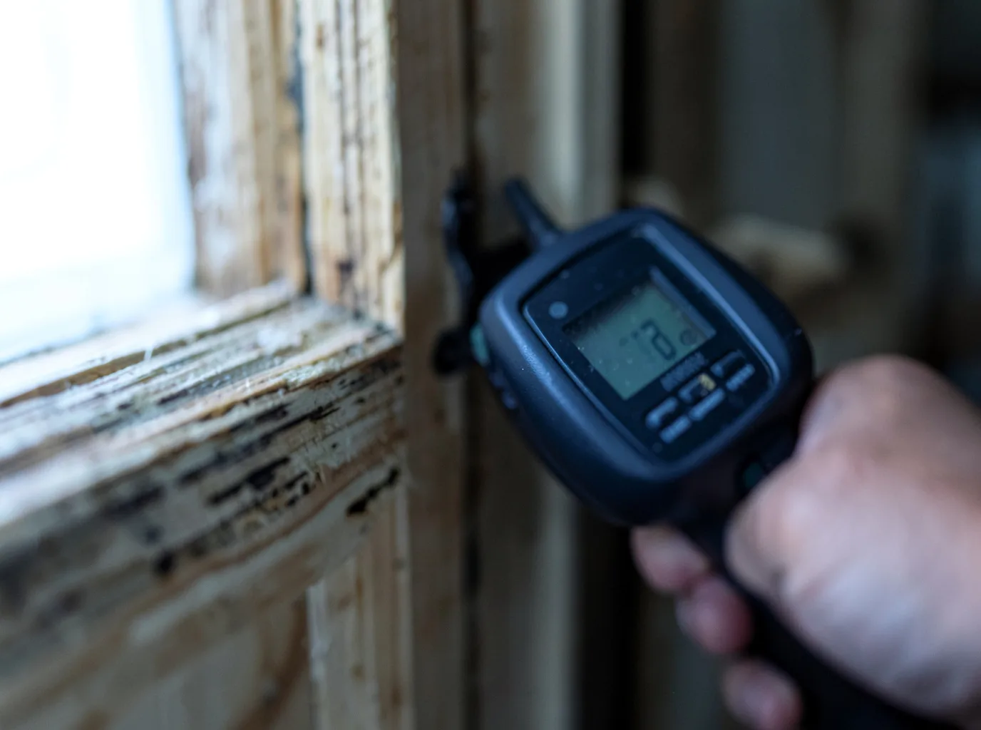 Water Damage Restoration Deer Park, WA FAQs